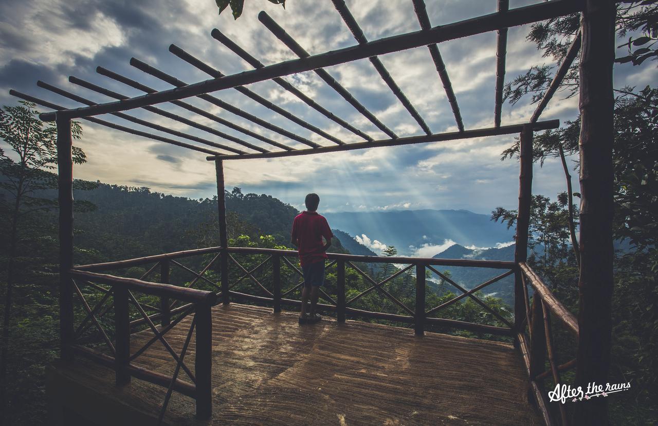After The Rains - Rainforest Lodge Meppādi Dış mekan fotoğraf